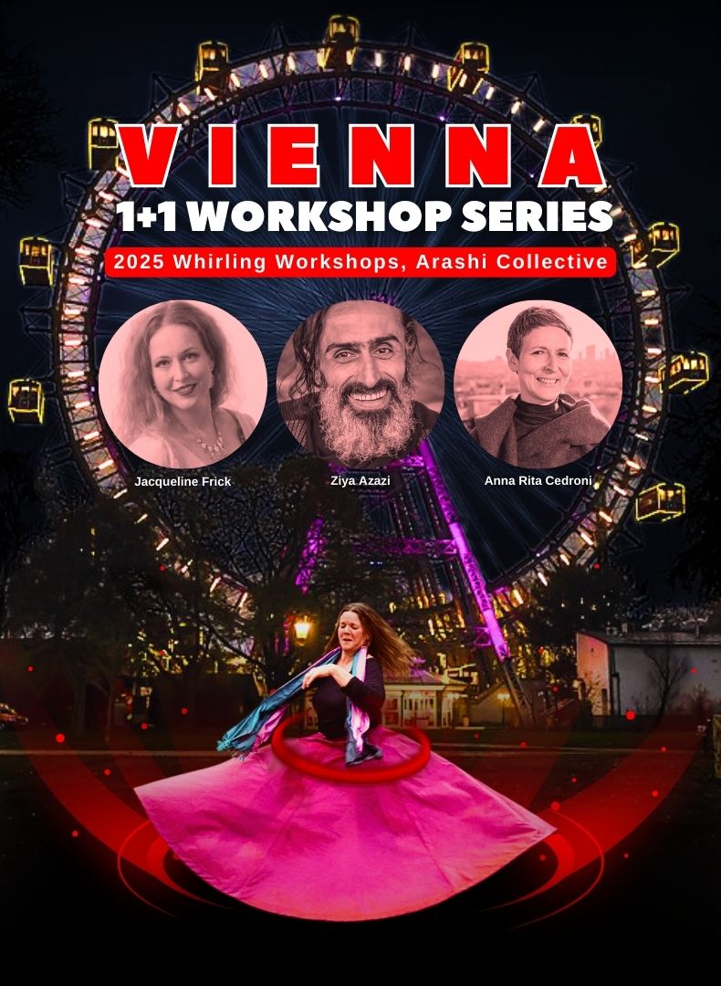 Vienna 1+1 Workshop Series: Building A Global Whirling Hub